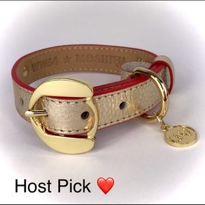 MOSHIQA Gold Leather Dog Collar Wonder Woman WW84 Size M Luxury Metallic Fancy